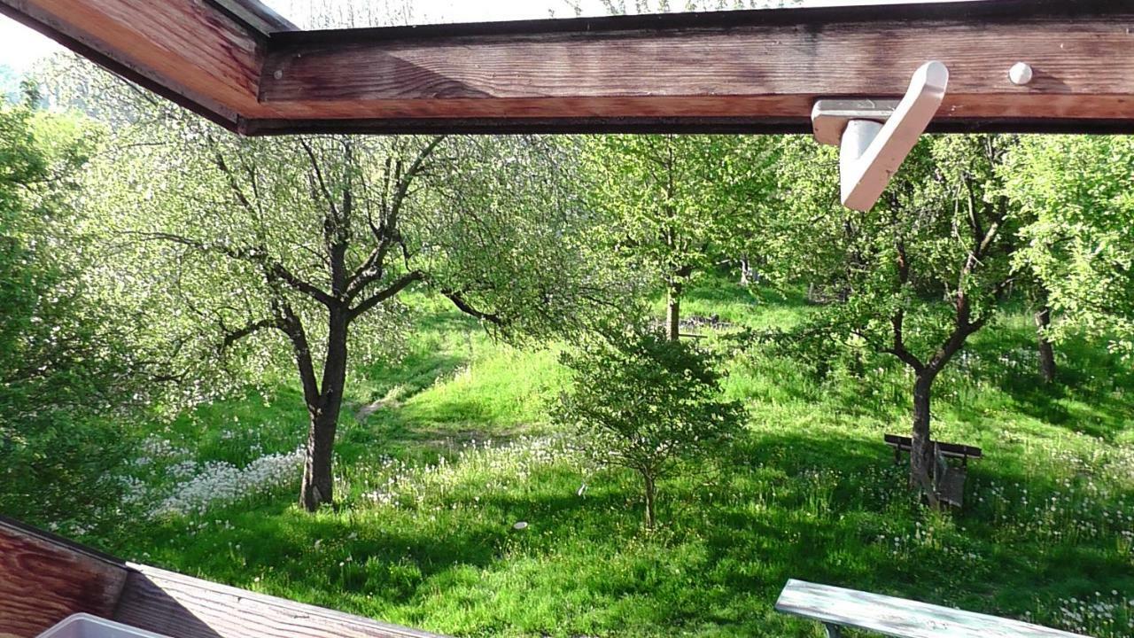 Bockelwitz Appel-Ranch 아파트 외부 사진