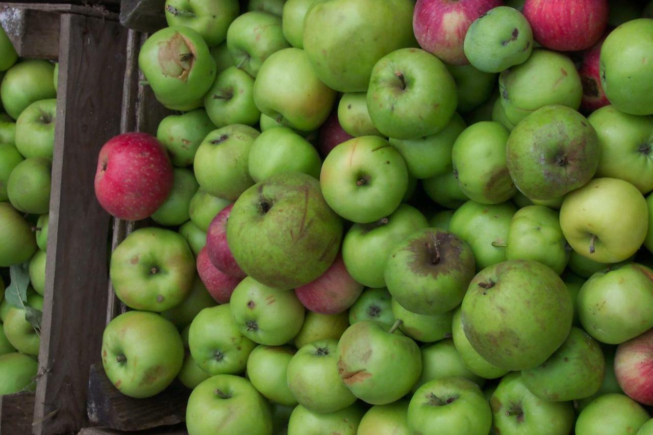 Bockelwitz Appel-Ranch 아파트 외부 사진